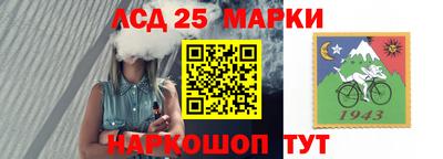 первитин Камышлов
