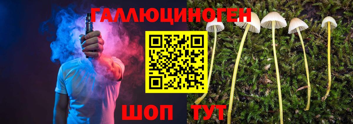 Галлюциногенные грибы MAGIC MUSHROOMS  Галлюциногенные грибы мухоморы  Кувандык  Вход с VPN 